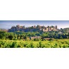 Tou. CARCASSONNE CITADEL