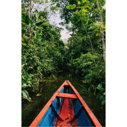 C. CIENAGA MANGROVES TOUR