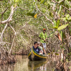 C. CIENAGA MANGROVES TOUR