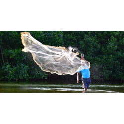 C. CIENAGA MANGROVES TOUR