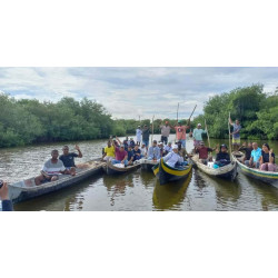 C. CIENAGA MANGROVES TOUR
