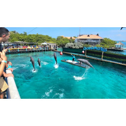 C. ROSARIO ISLANDS BEACH